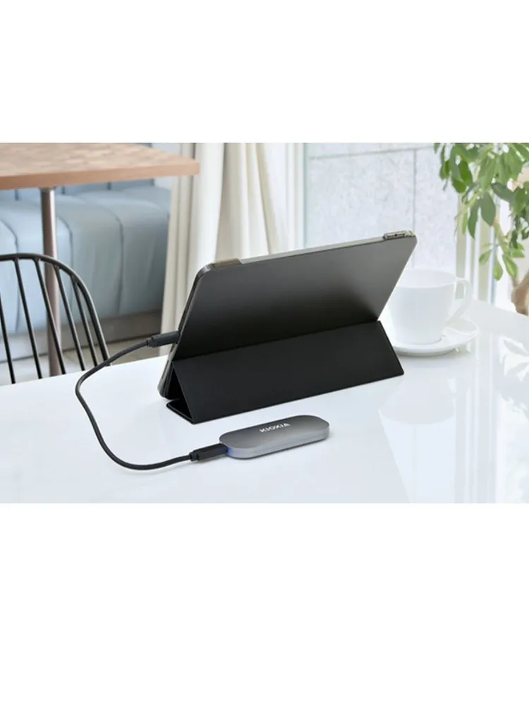 Внешний SSD накопитель KIOXIA Exceria Plus (2 ТБ, серый)