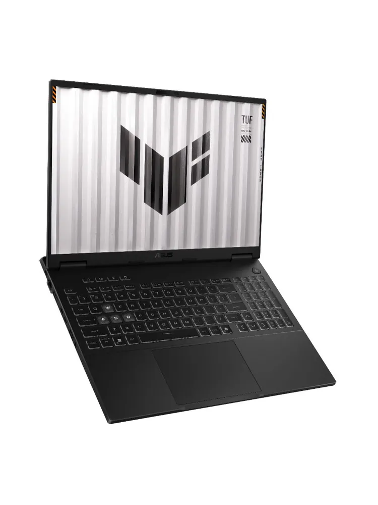 Игровой ноутбук ASUS TUF F16 FX608JM-RV049 (16'', серый)