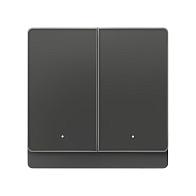 Выключатель Yeelight Pro D (проводной, 2 клавиши, серый)