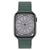 Ремешок для часов SwitchEasy MAW245078PG22 Skin Silicone Magnetic Watch Band (для Apple Watch 42/44/45mm, зеленый)