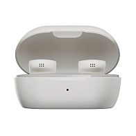 Беспроводные наушники Bose QuietComfort Earbuds 5V (белый)