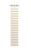 Ремешок для часов SwitchEasy MAW801078SI22 Skin Silicone Magnetic Watch Band (для Apple Watch 38/40/41mm, бежевый)