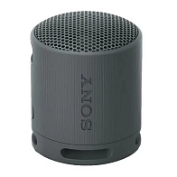 Беспроводная колонка SONY SRS XB100 (черный)