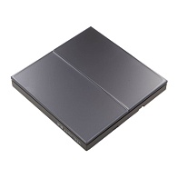 Выключатель Yeelight Pro S21 (N L, проводной, 2 клавиши, серый)