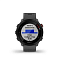 Умные часы Garmin Forerunner 55 (серый)