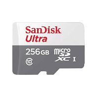 Карта памяти SanDisk Ultra microSDXC (256 ГБ, серый)